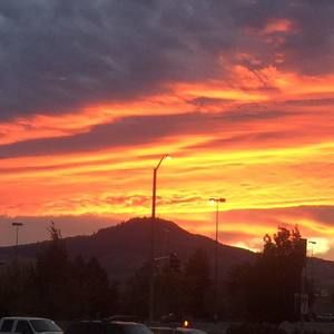 Meet your Posher, Al